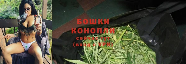 спиды Богородицк