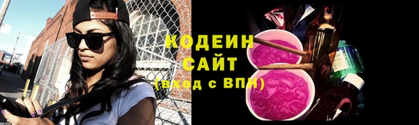 спиды Богородицк