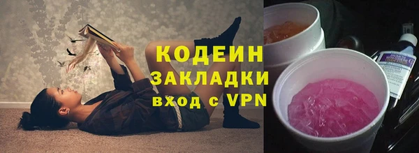 гидра Богородск