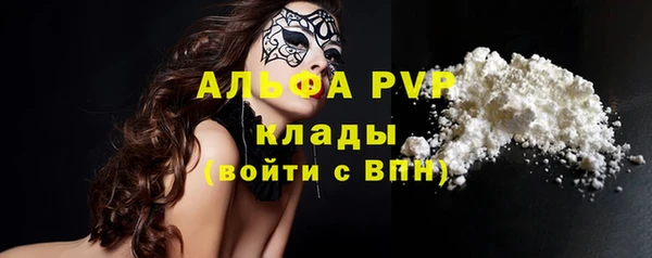 прущий лед Богданович
