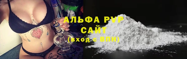 прущий лед Богданович