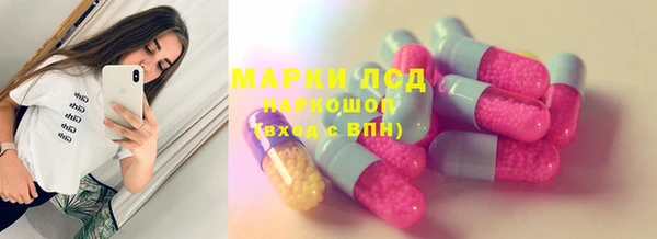 спиды Богородицк
