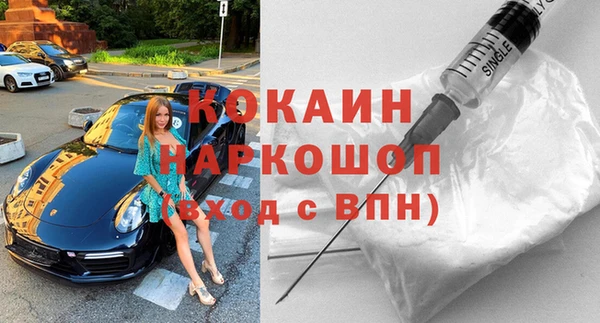 дживик Бронницы