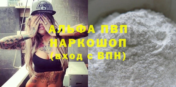 прущий лед Богданович