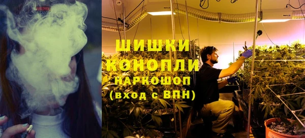 прущий лед Богданович