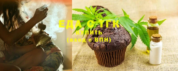 спиды Богородицк