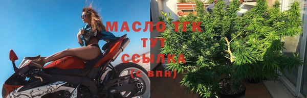 прущий лед Богданович