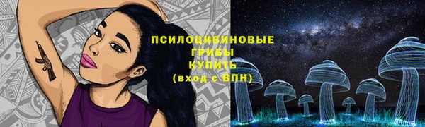 спиды Богородицк